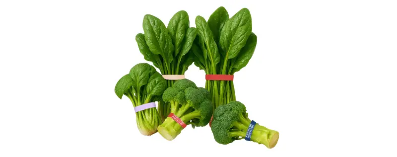 Fresh broccoli and leafy greens bundled with colorful vegetable rubber bands, showing KL Rubber’s B2B produce packaging supply.